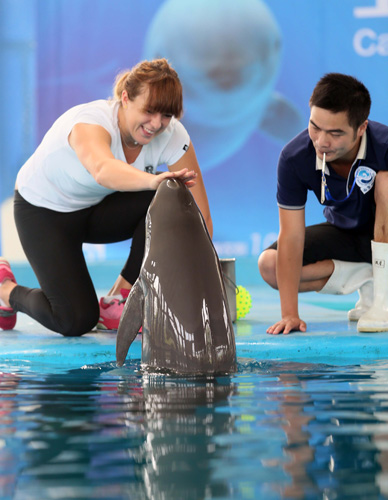 力的年轻前 力的年轻前