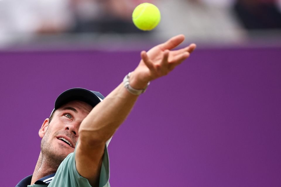 对他自身实 对他自身实